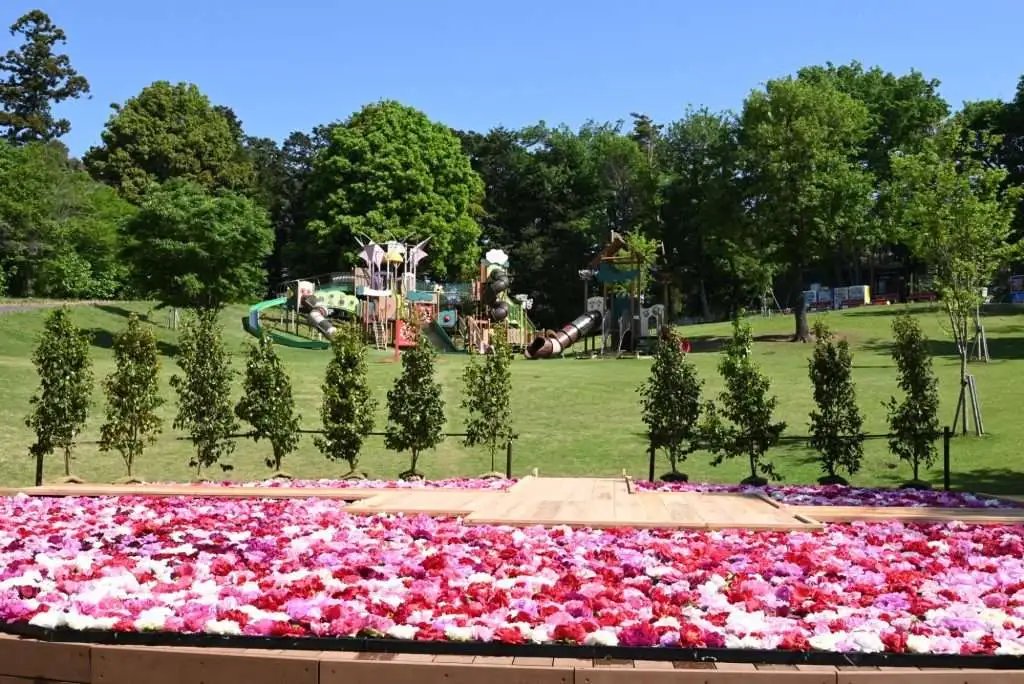 🏞️ 관산 종합공원 (간무리야마 소고 코엔) 이미지 15